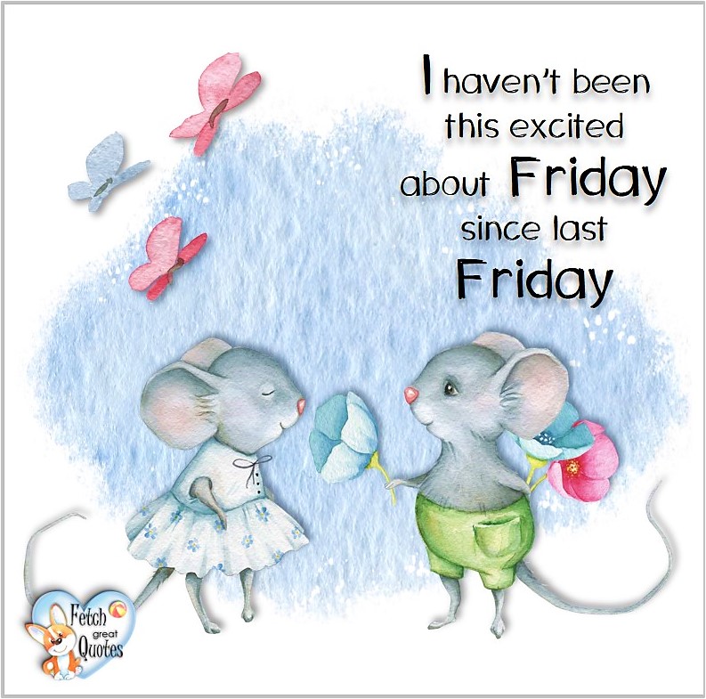 Free Friday Quotes, Happy Friday Photos, Friday photos, Fun Friday quotes, fun Friday photos, I haven't been this excited aout Friday since last Friday