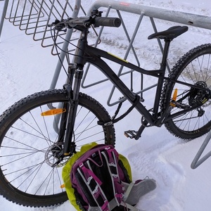 2029 GT Bicycles Avalanche Expert SM