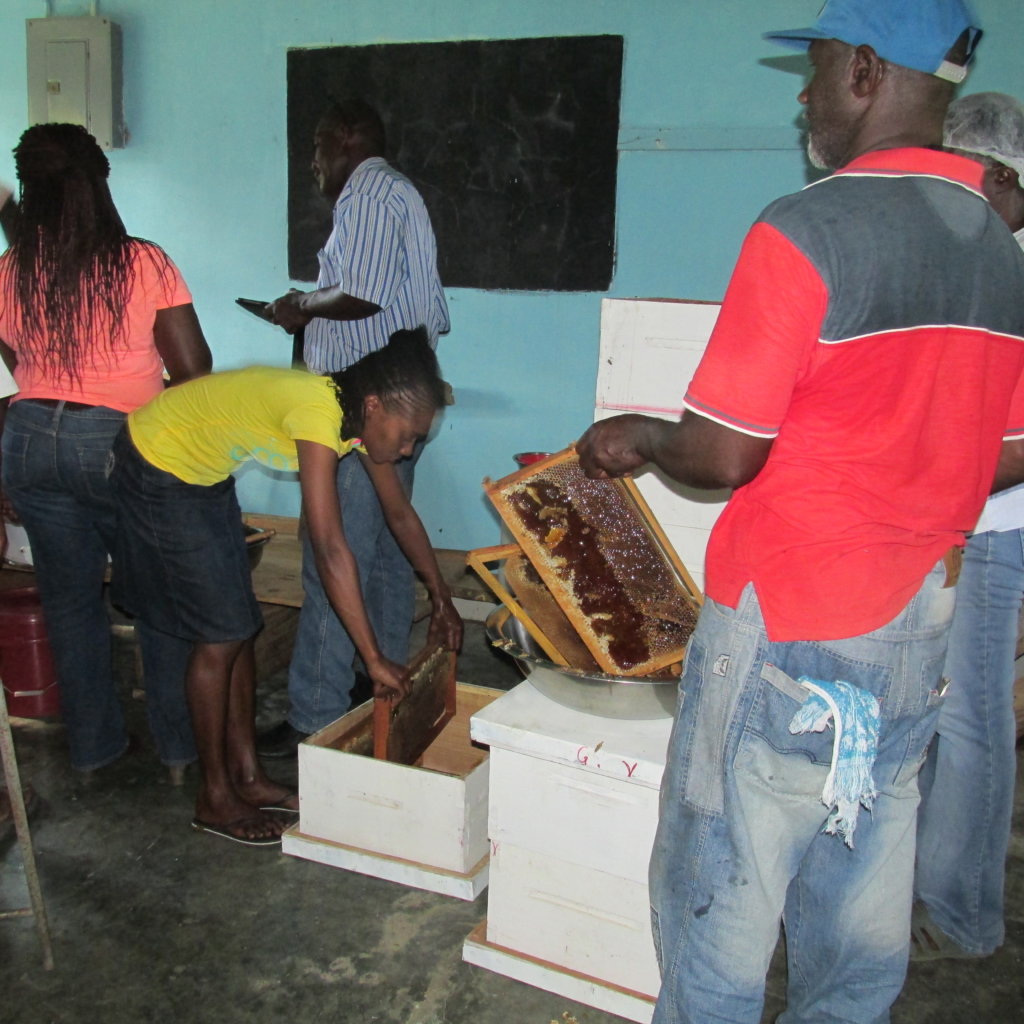 Build a Honey Room for 40 Bee Farmers in Jamaica - GlobalGiving