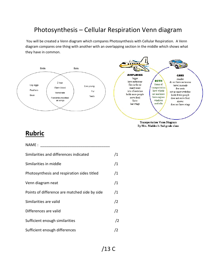 Cellular Respiration and Photosynthesis - Venn Diagram Worksheet