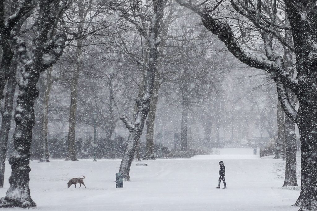 BRUSSELS, Jan. 23, 2019 - A citizen and a dog walk in the snow-covered Park of the Fiftieth Anniversary in Brussels, Belgium, Jan. 22, 2019. Brussels witnessed the first snowfall in 2019 on Tuesday.