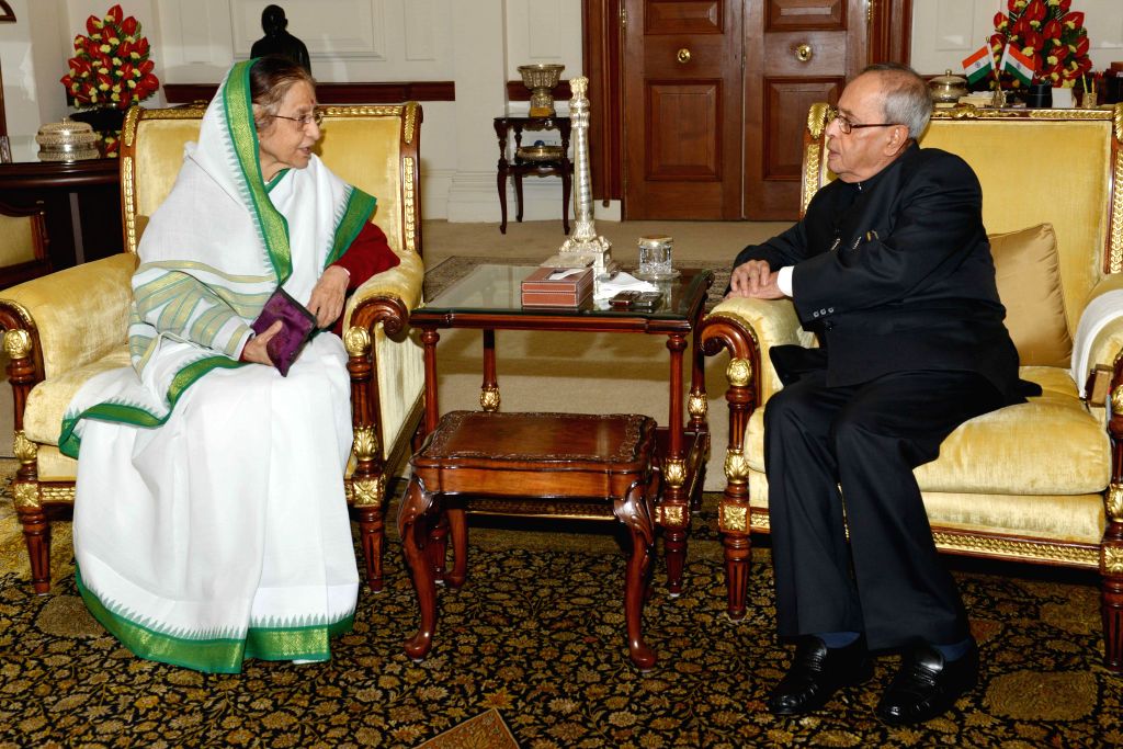 Pratibha Patil calls on President Mukherjee