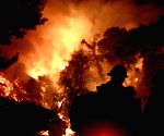 US: Five killed in California wildfires