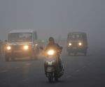 Dense fog grips Delhi-NCR; IMD predicts light rain, temperature drop