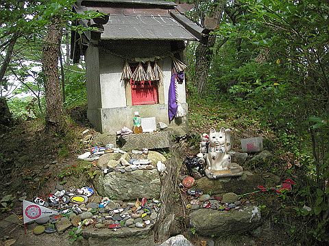 shrine for cats in woods