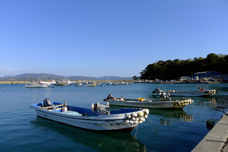 boats tied to dock in japan