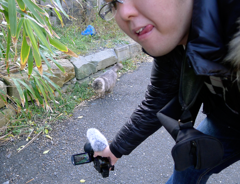 japanese man with camera filming a gray cat on cat island