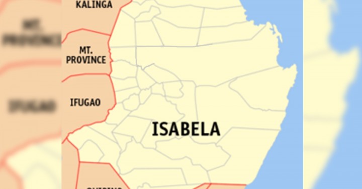 Checkpoints put up as ASF confirmed in 2 Isabela towns | Philippine ...