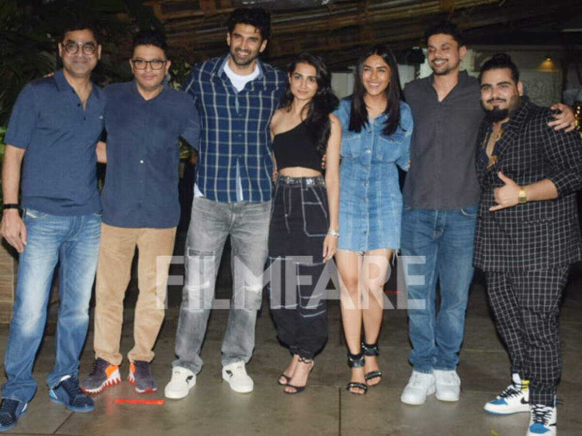 Aditya Roy Kapur and Mrunal Thakur all set for Thadam remake ...