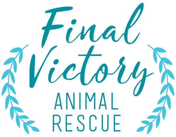 Final Victory Animal Rescue