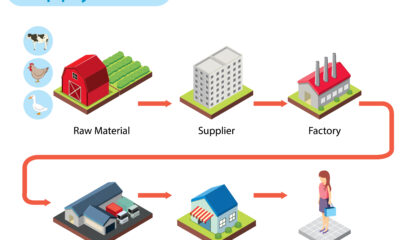 the-impact-of-supply-chain-disruption-on-business-operations-and-financial-performance