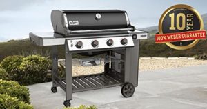 Weber 62010001 Genesis II E-410 Review