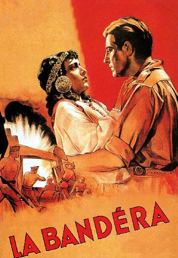 La bandera poster