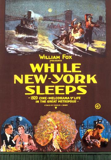 While New York Sleeps poster