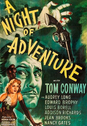 A Night of Adventure poster