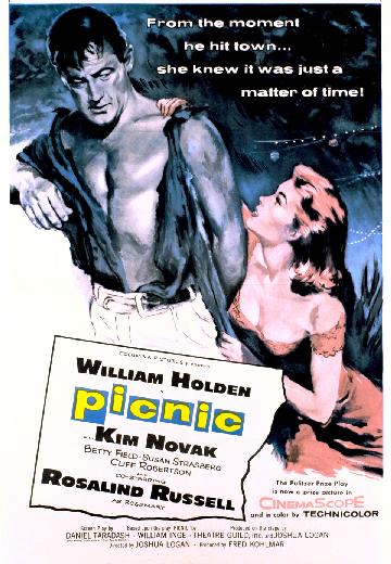 Picnic poster