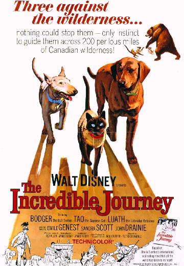 The Incredible Journey poster