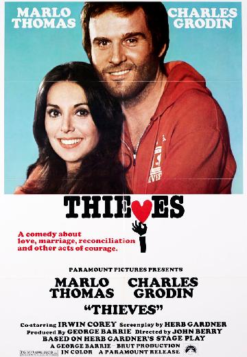 Thieves poster