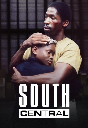 South Central poster