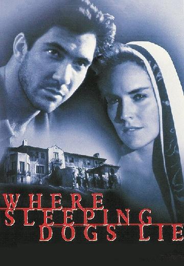 Where Sleeping Dogs Lie poster