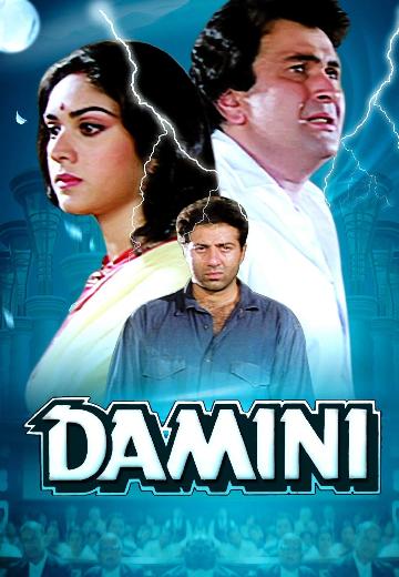 Damini poster