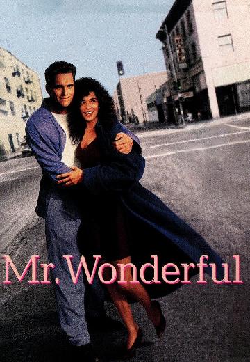 Mr. Wonderful poster