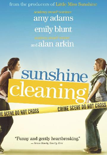 Sunshine Cleaning poster