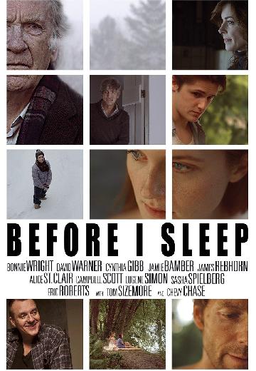 Before I Sleep poster