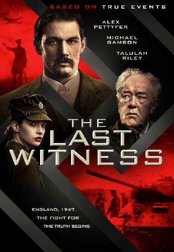 The Last Witness poster