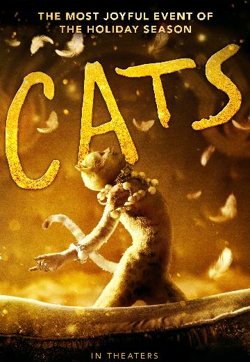 Cats poster