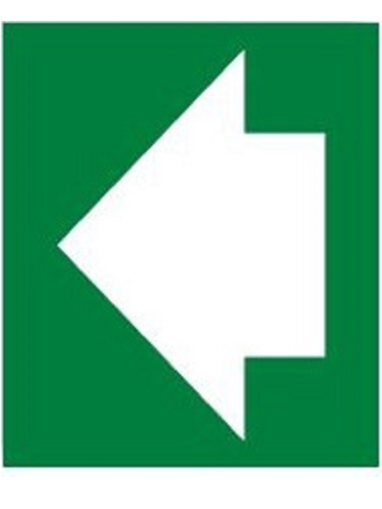 Exit Sign Arrow Left - Luminous 150mm x 150mm