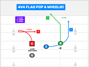 Flag Football Numbers? FirstDown PlayBook Has You Covered.