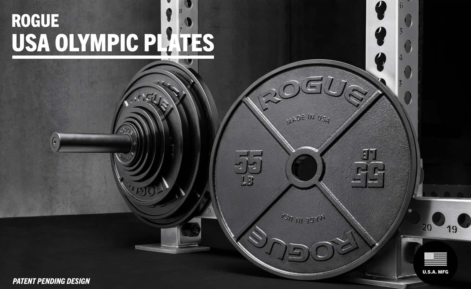 Rogue USA Olympic Plates main