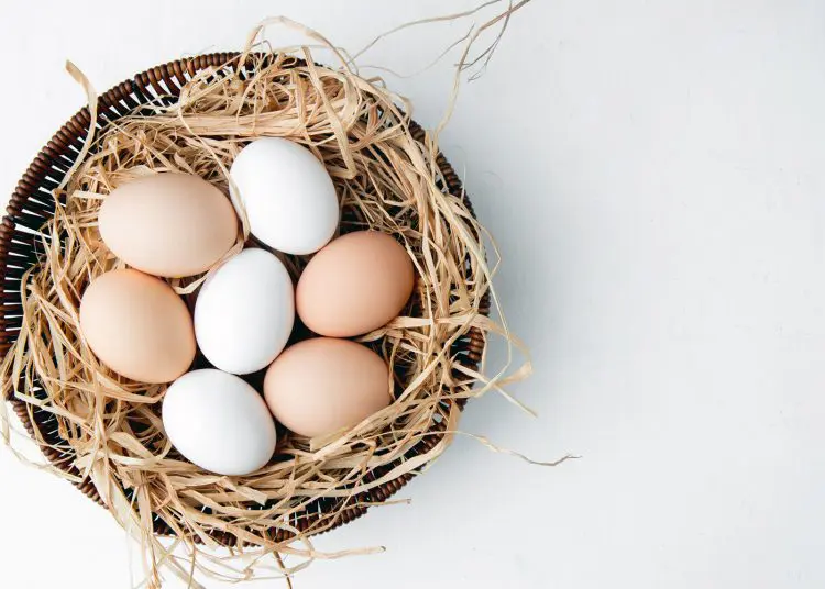 Basket Full Of Eggs