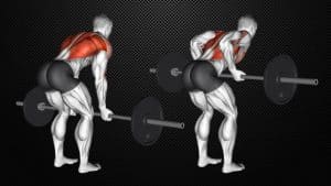 Reverse Grip Row Guide