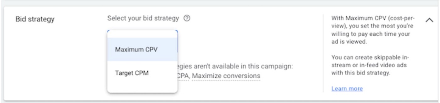 Screenshot of Youtube marketing bid strategy section.