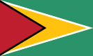 Flag of Guyana