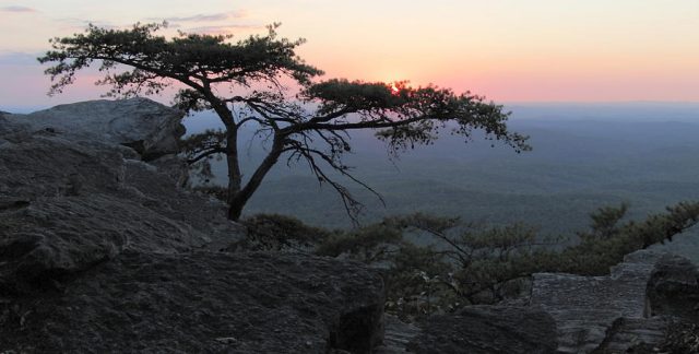 Al Cheaha State Park Hike