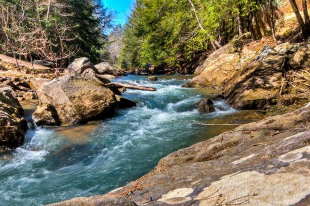 Alabama Hiking Trail Sipsey River