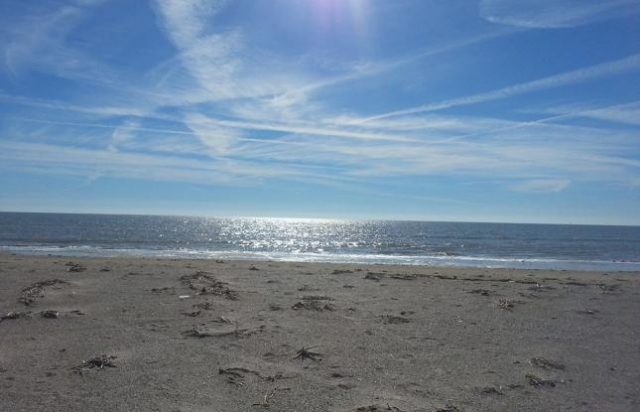 Louisiana Beach North Beaches