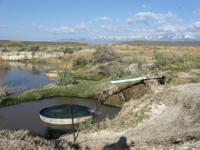 Best Paradise Valley Hot Springs in Nevada