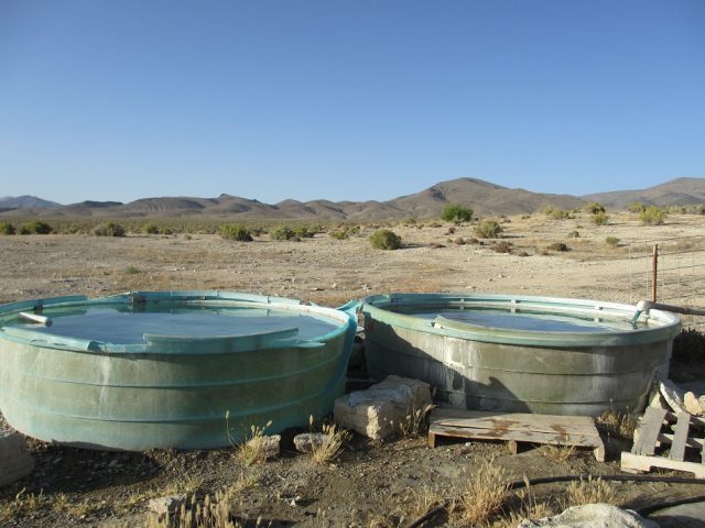 Natural Kyle Hot Springs Nevada