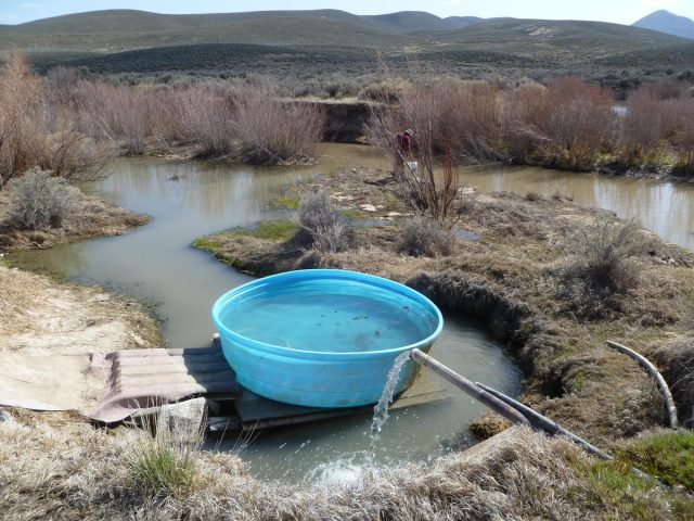 Paradise Valley Hot Springs in Nevada