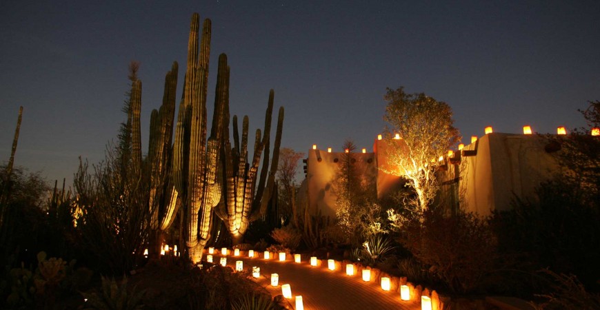 Desert Botanical Garden