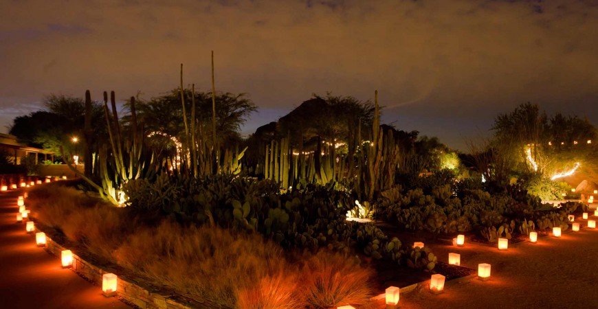 Desert Botanical Garden