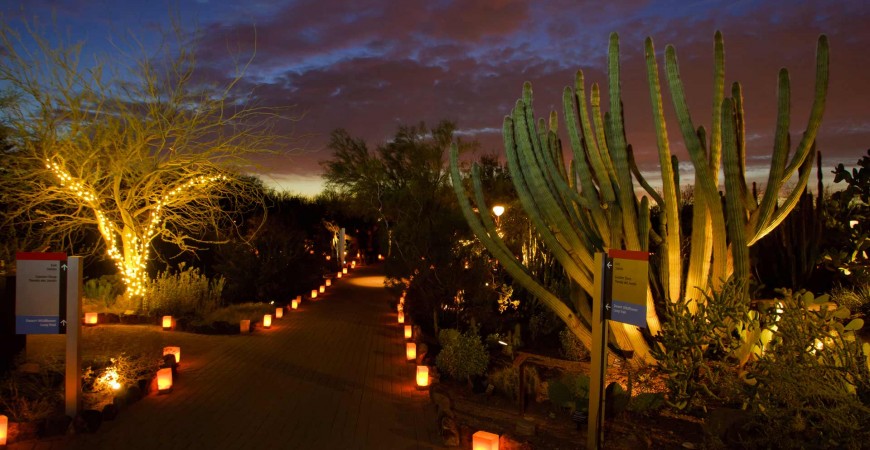 Desert Botanical Garden