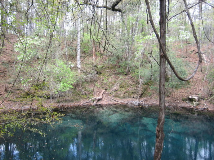 Hammock Sink at Leon Sinks