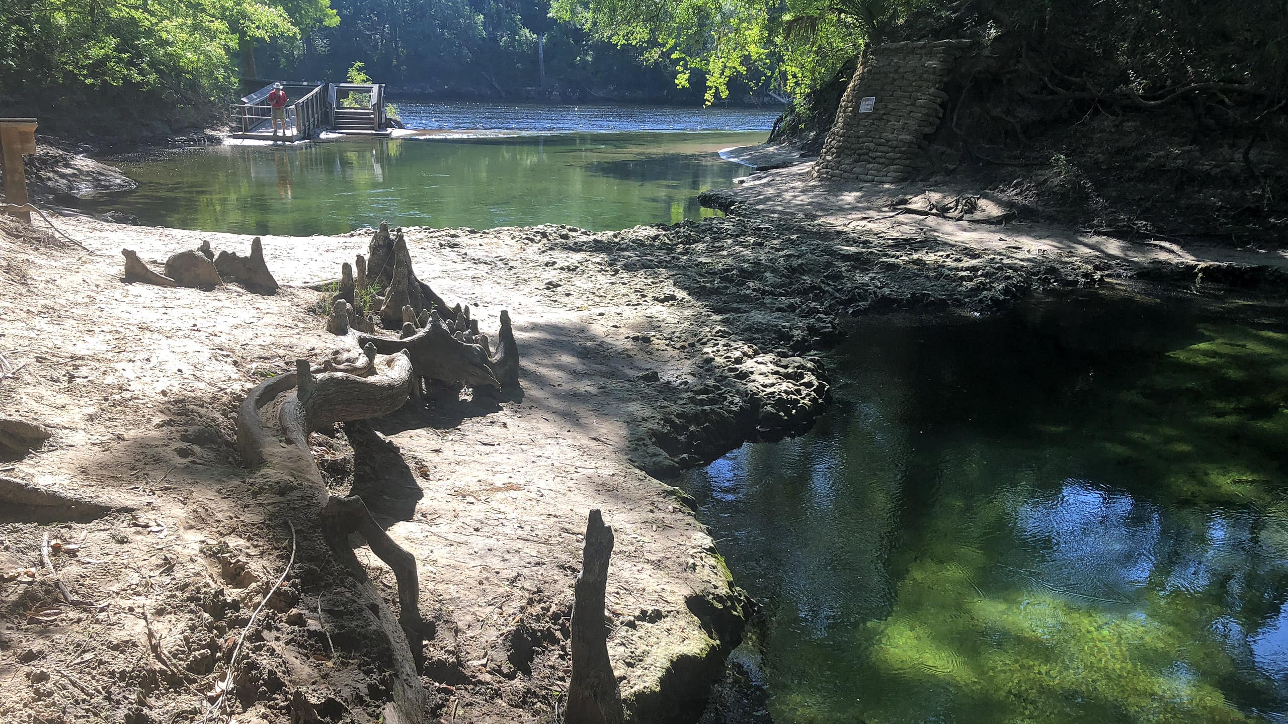 Natural bridge at Lafayette Blue Spring