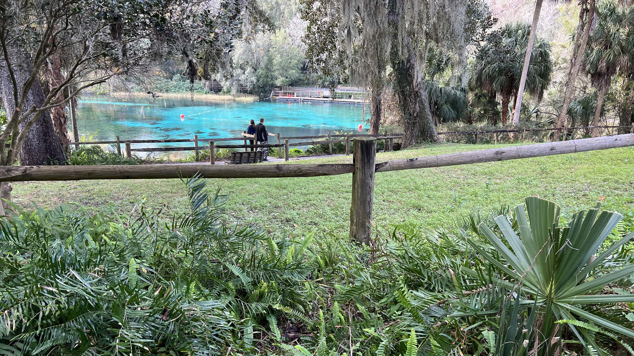 Overlook on blue spring with people