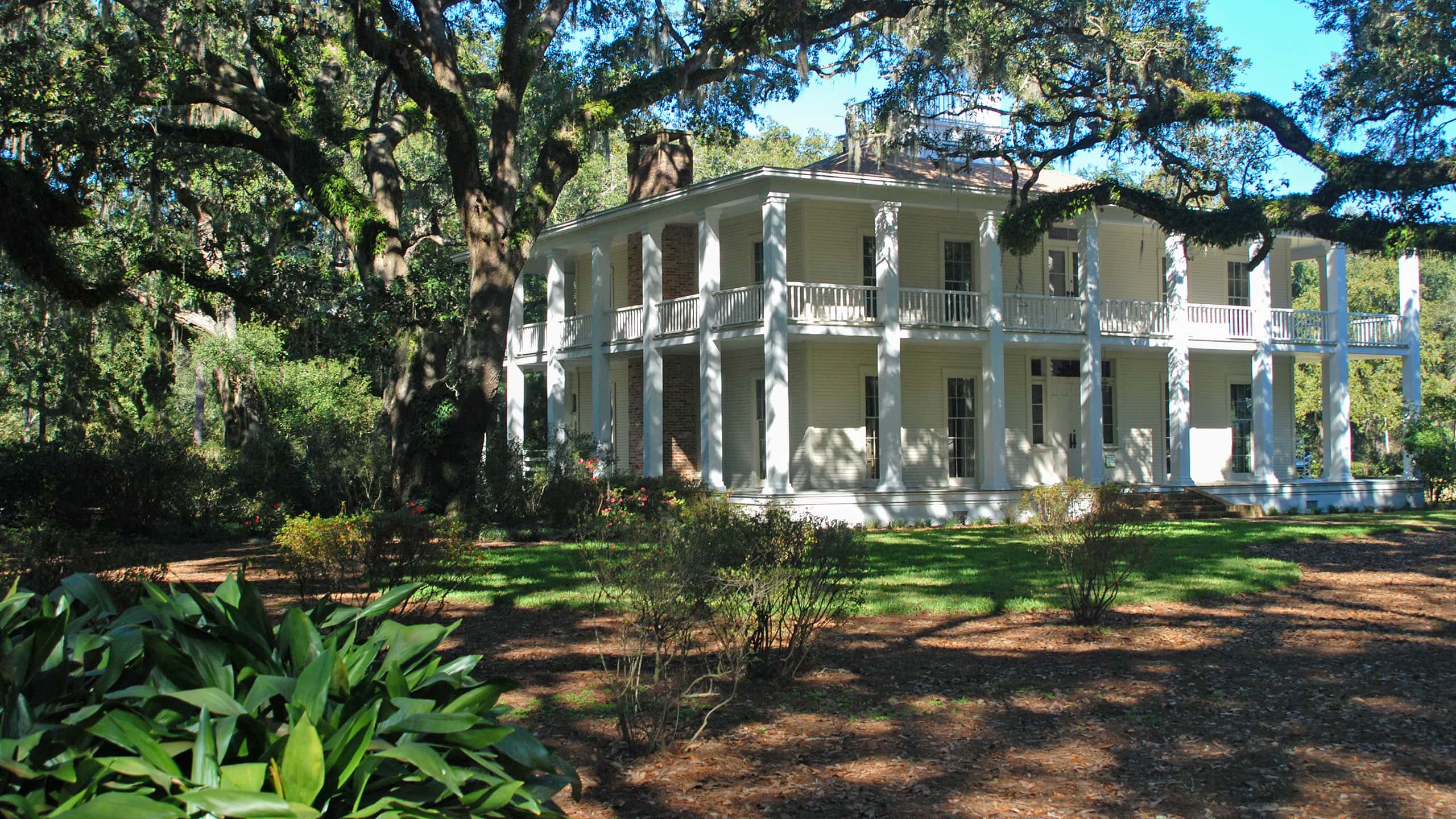 Two-story mansion under live oak canopy